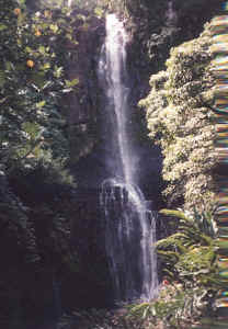 waterfall.jpg (93617 bytes)